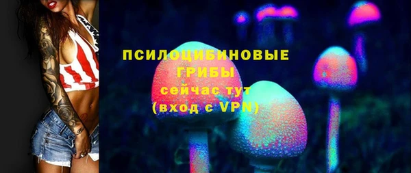 бутират Алзамай